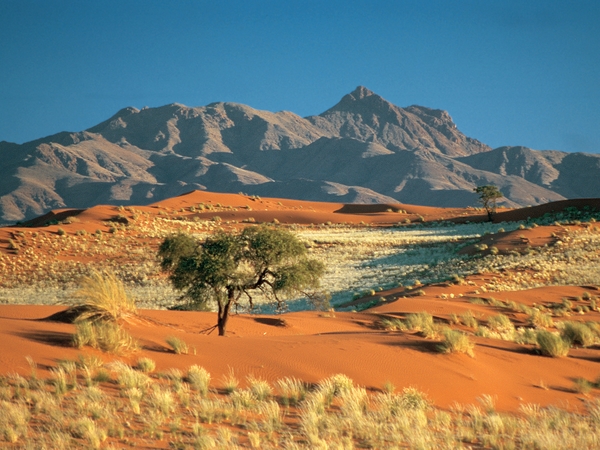 Desertul Kalahari