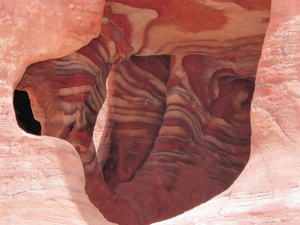 Rocile roz de la Petra