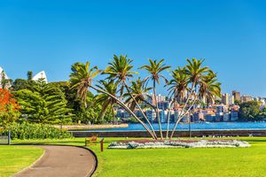 Royal Botanic Garden
