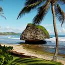 Barbados