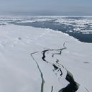 Marea Amundsen