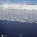 Marea Barents