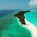 Marea Caraibilor