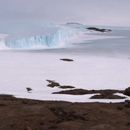 Marea Mawson