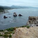 Marea Ochiotsk