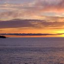 Marea Salish