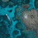Tonga - Regatul Tonga